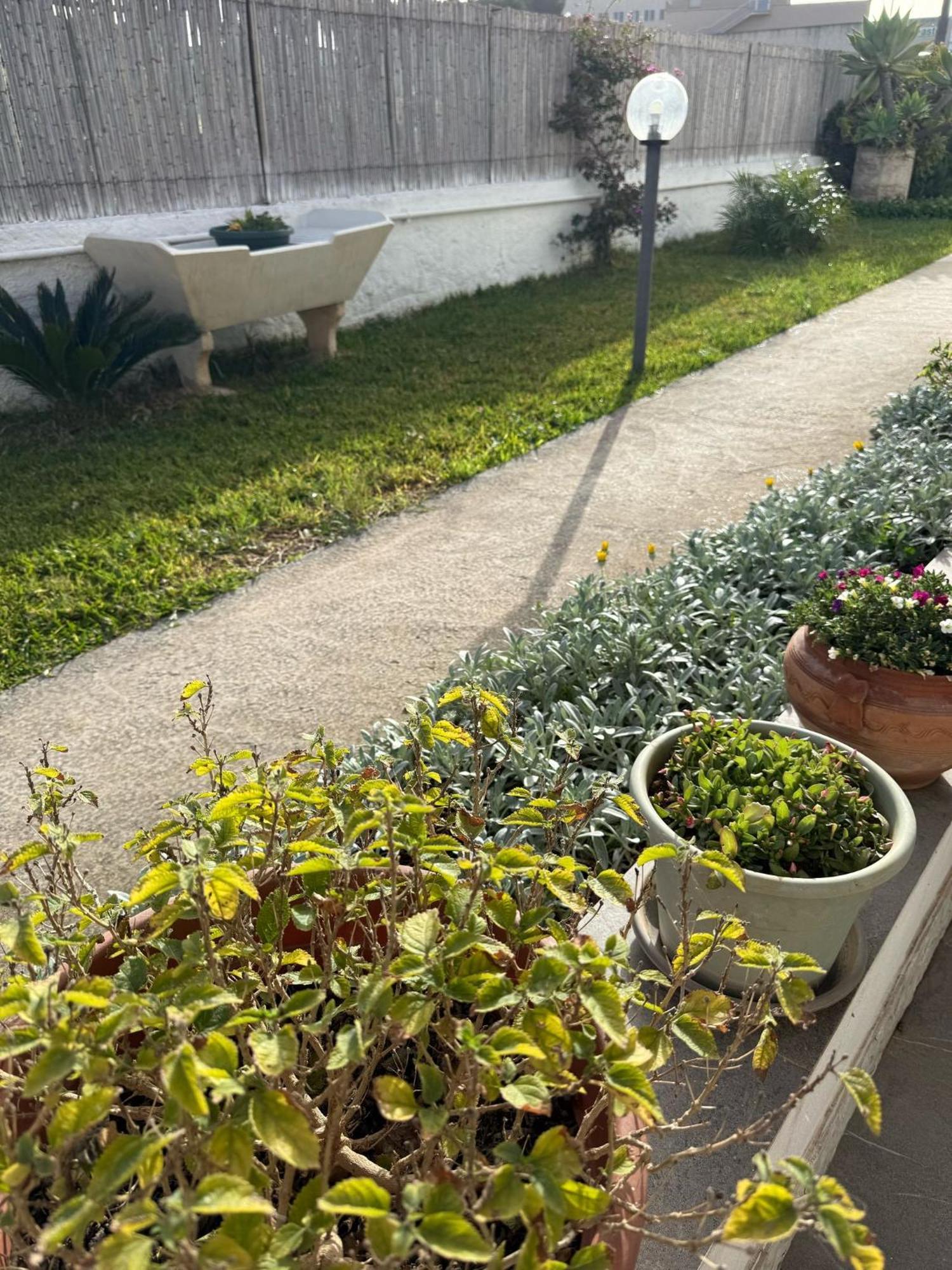A Casa Di Coso B&B Marsala Bagian luar foto